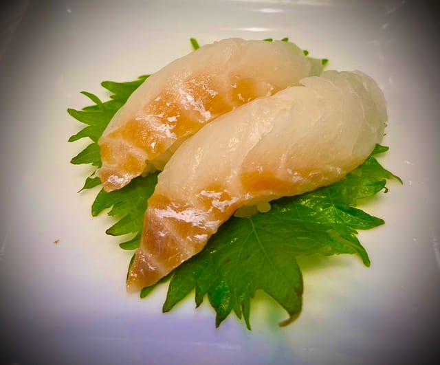 Red Snapper.